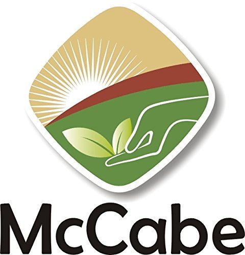 McCabe Organic Sweet Rice Flour - Gluten Free Organic Glutinous Rice Flour | Sweet Rice Flour for Baking | Rich in Fibers and Minerals | USDA and CCOF Certified Organic | Product of USA | 1Lbs Pack of 2
