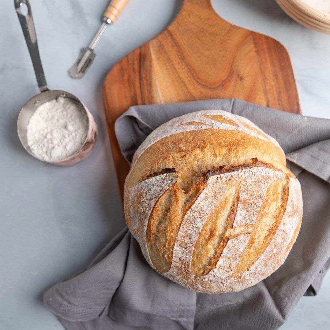 Cultures for Health Gluten Free Sourdough Starter
