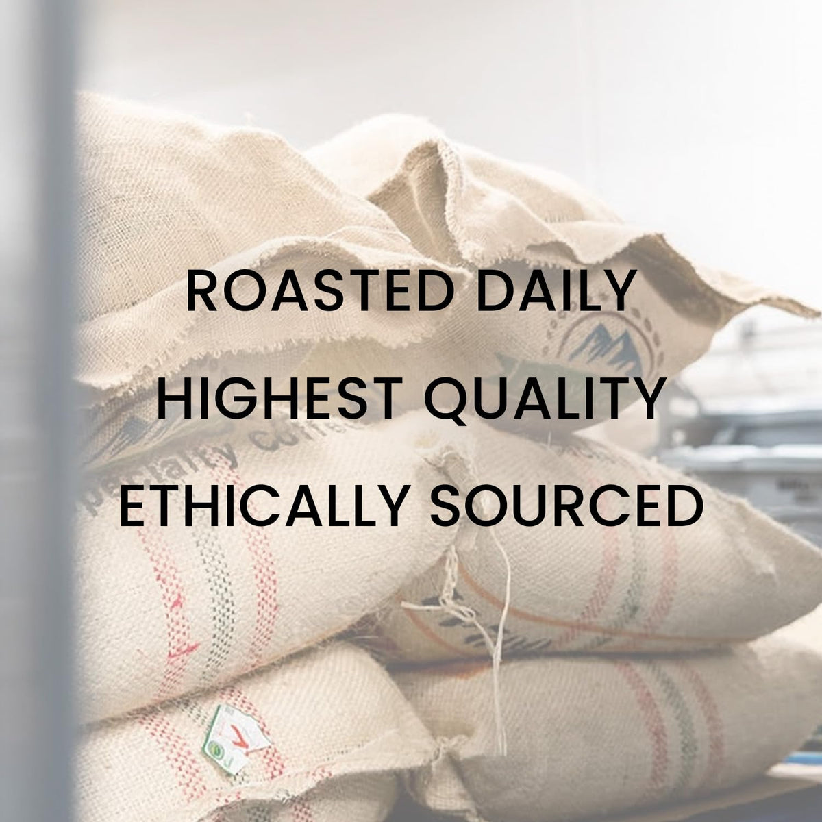 Reborn Coffee Specialty Whole Bean Coffee