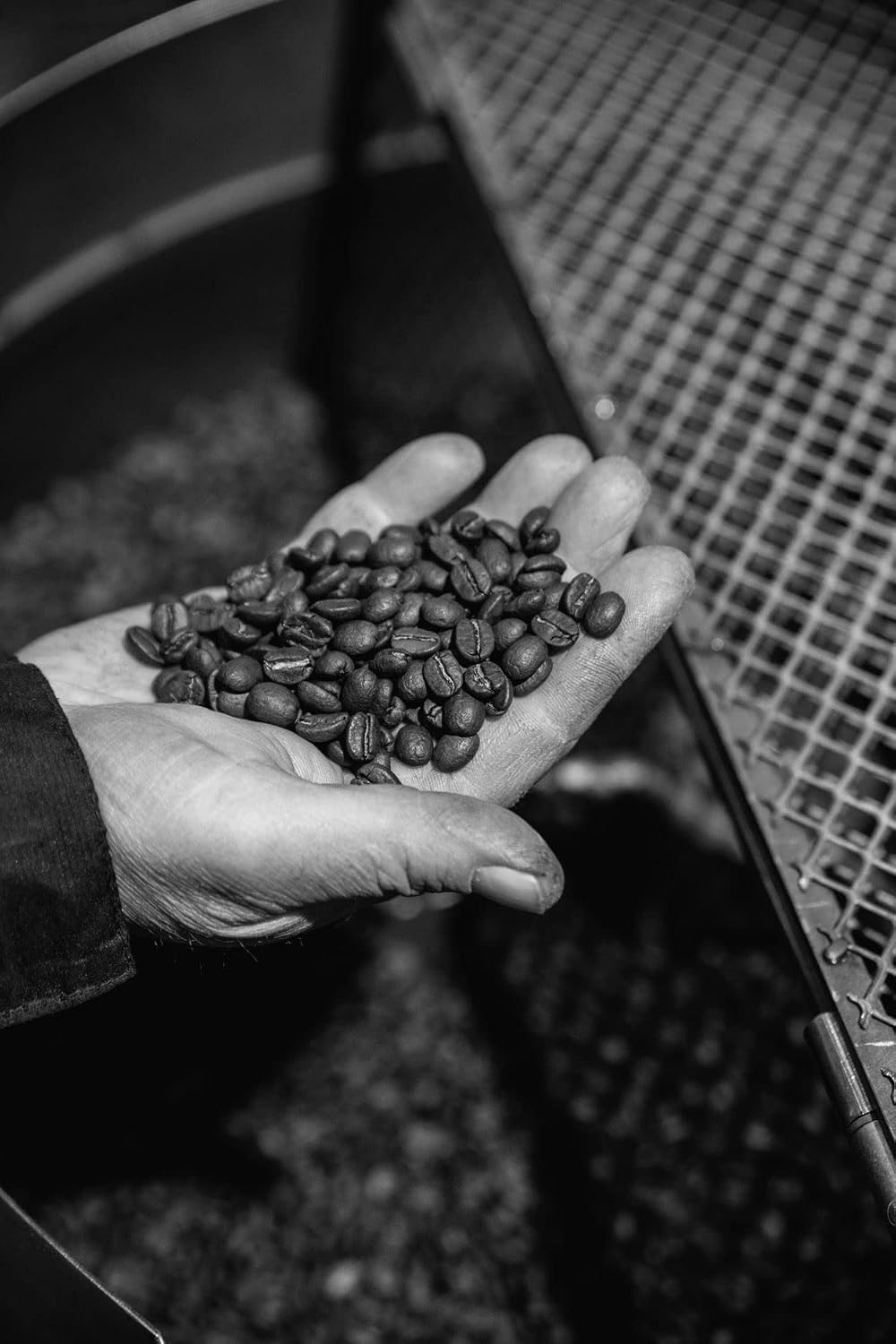 Bristot Crema Oro Italian Whole Espresso Beans