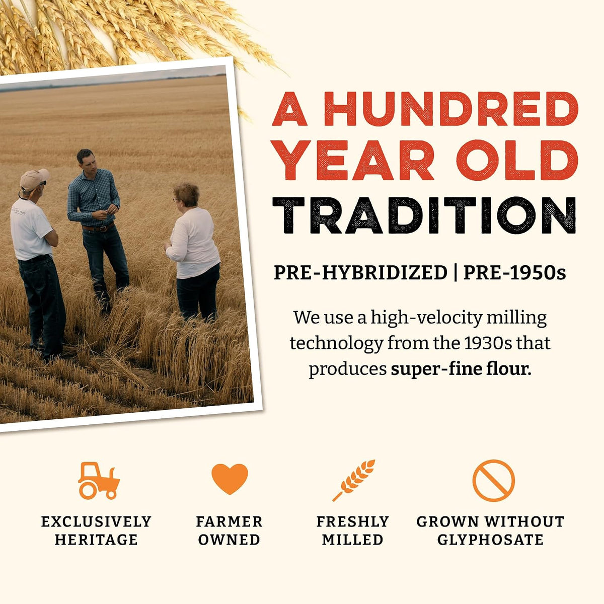Sunrise Flour Mill Organic Heritage Whole Wheat Flour - 2 lbs