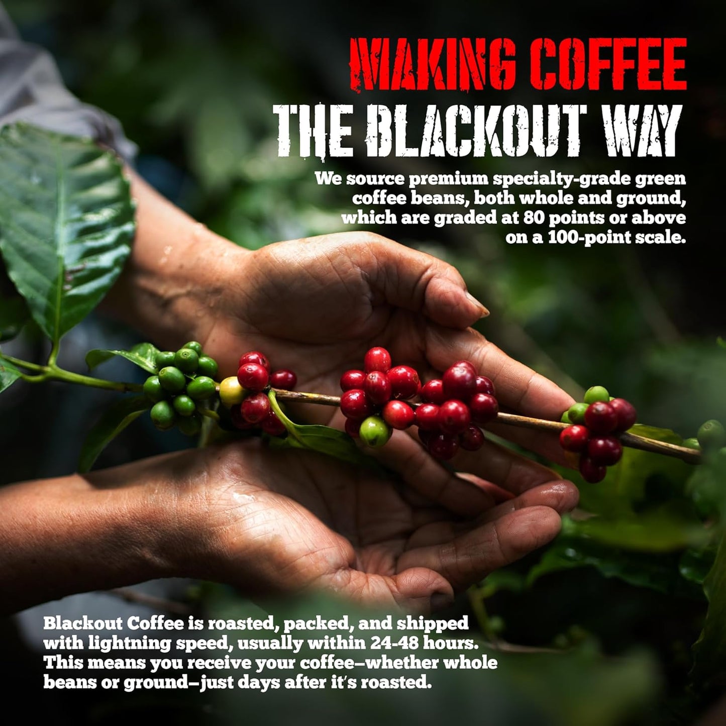 Blackout Coffee Caramel Cream Flavored Coffee - Ground Coffee, Fresh Roasted In the USA,12 oz pouch