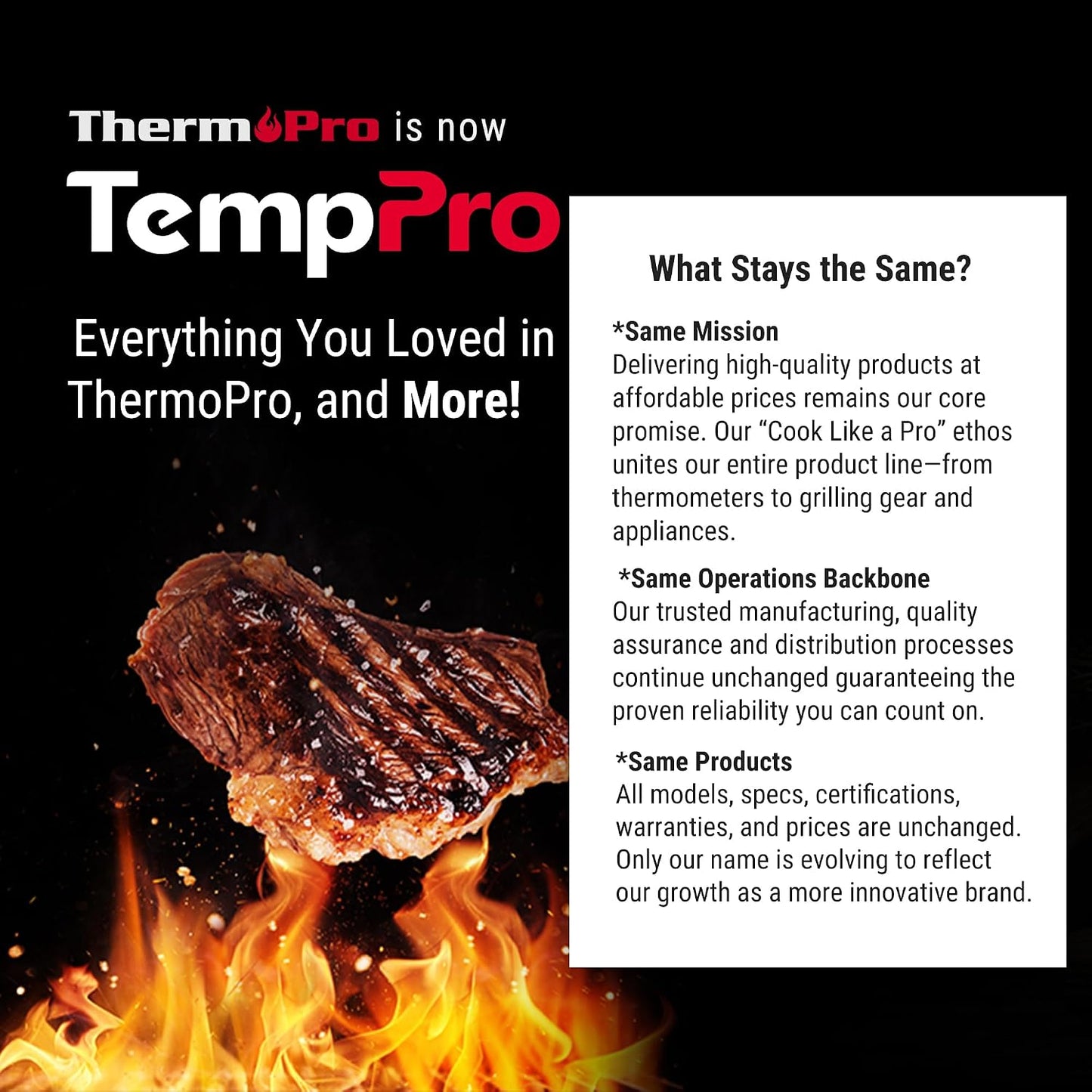 TempPro TP01A (2 Pack) Digital Meat Thermometer for Cooking Liquid Deep Frying Oil Candy, Kitchen Food Instant Read Thermometer with Super Long Probe, Backlit, Lock Function (Previously ThermoPro)