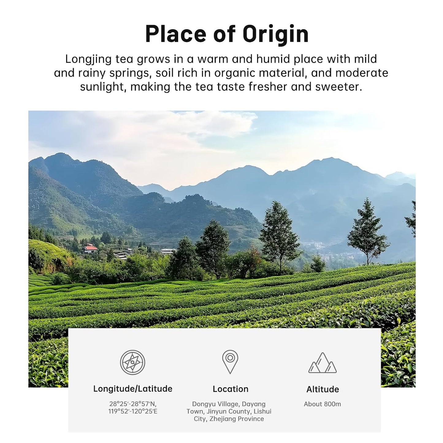 iTeaworld LongJing,Chinese Loose Leaf Green Tea,Dragon Well Tea 3.5oz | Up to 200 Cups|Rich Bean Aroma|Refreshing|Pure Loose Leaf Green Tea Unsweetened|Easy Mug Cold&Hot Brewing