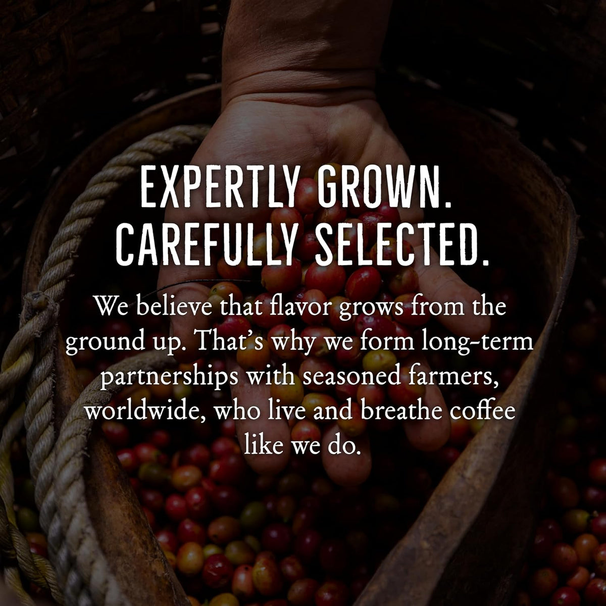 Mt. Comfort Coffee El Salvador Medium Roast, 12 Ounce - Locally Sourced From Local, International Coffee Farms - Roasted Whole Beans.
