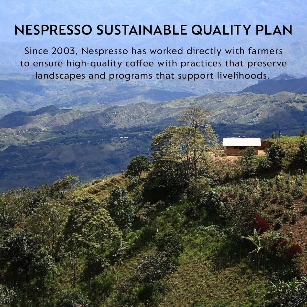 Nespresso Original, Freddo Delicato, 50-Count Coffee Pods | Capsules Pack of 1 Brews 1.35oz.