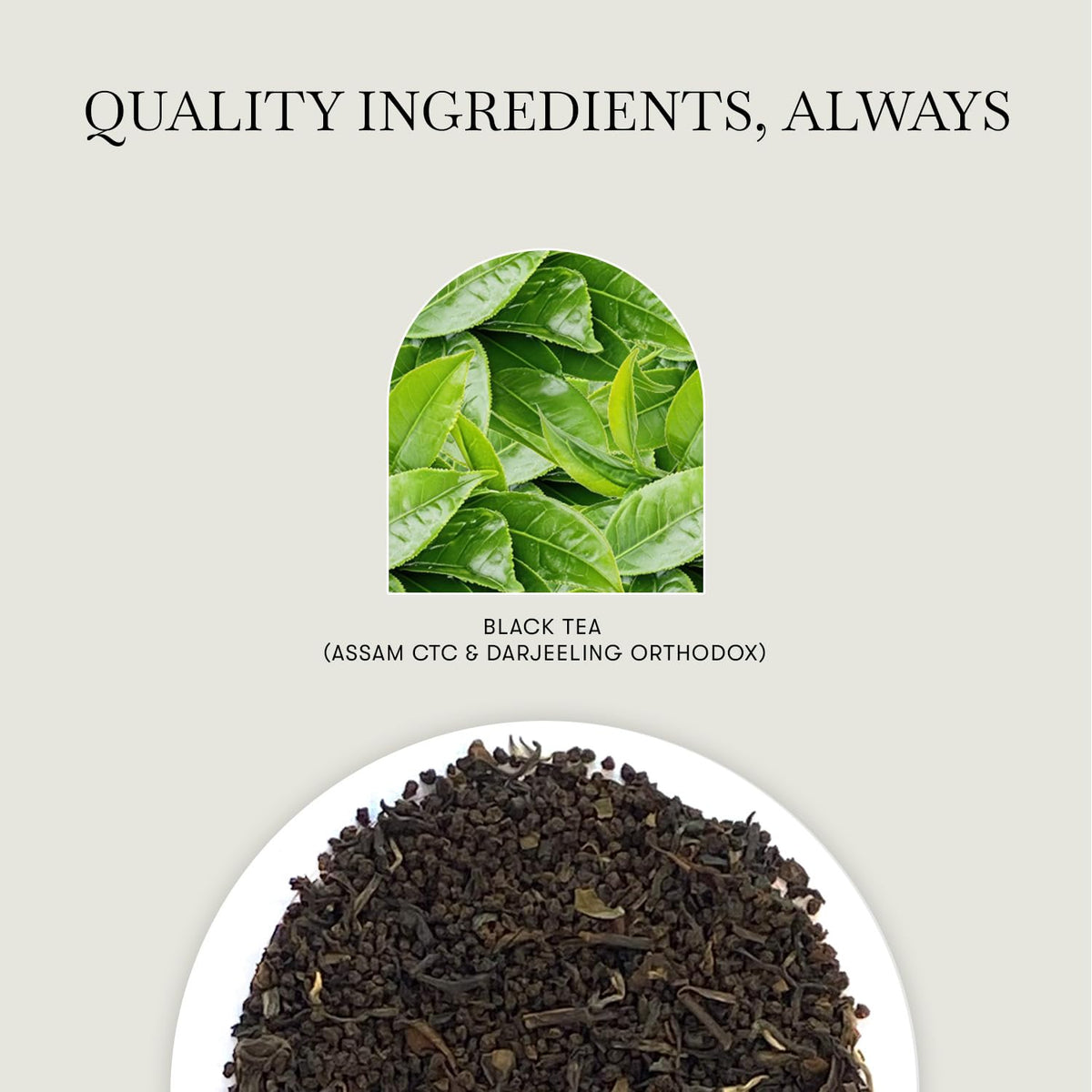 Luxmi Estates - Blue Hills CTC Black Tea 100gm, 3.52 Oz loose leaf tin Caddy