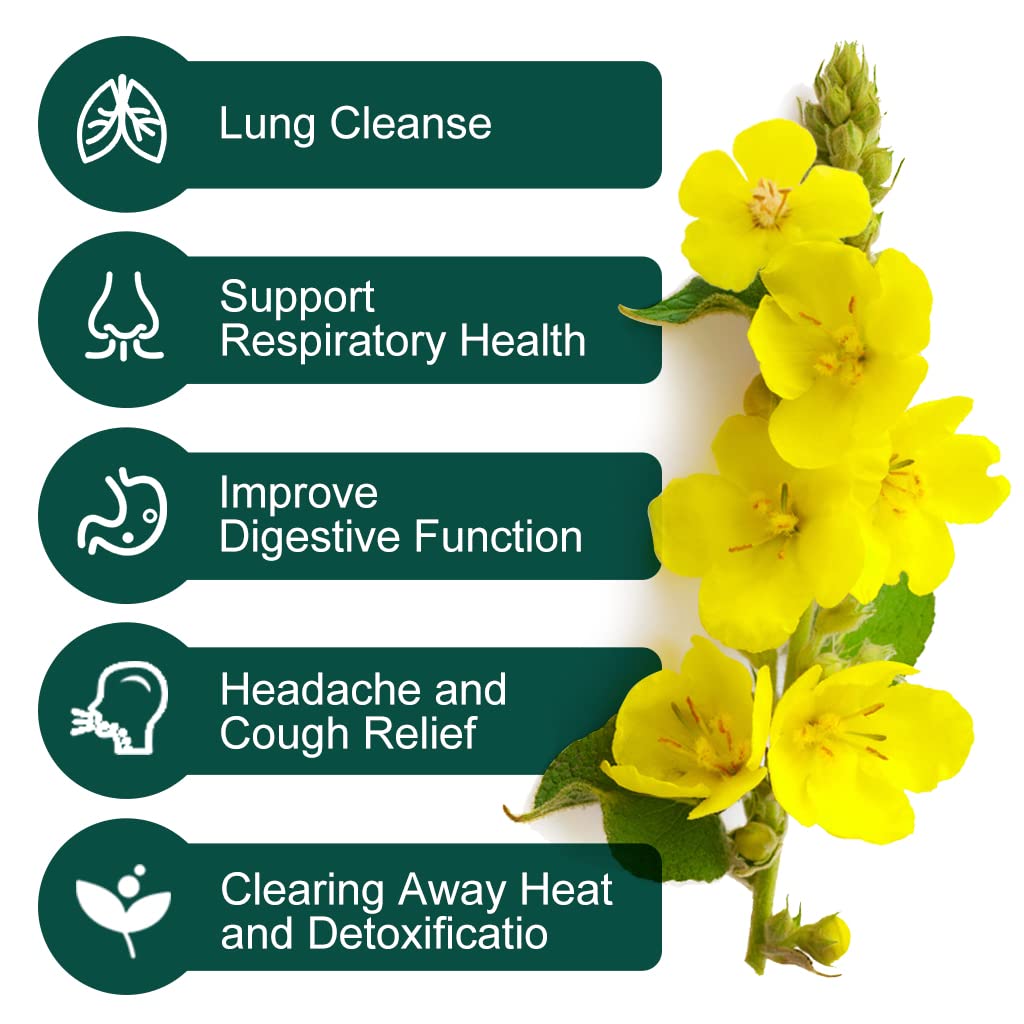 Mullein Leaf Tea Bags - Lungs and Respiratory Support