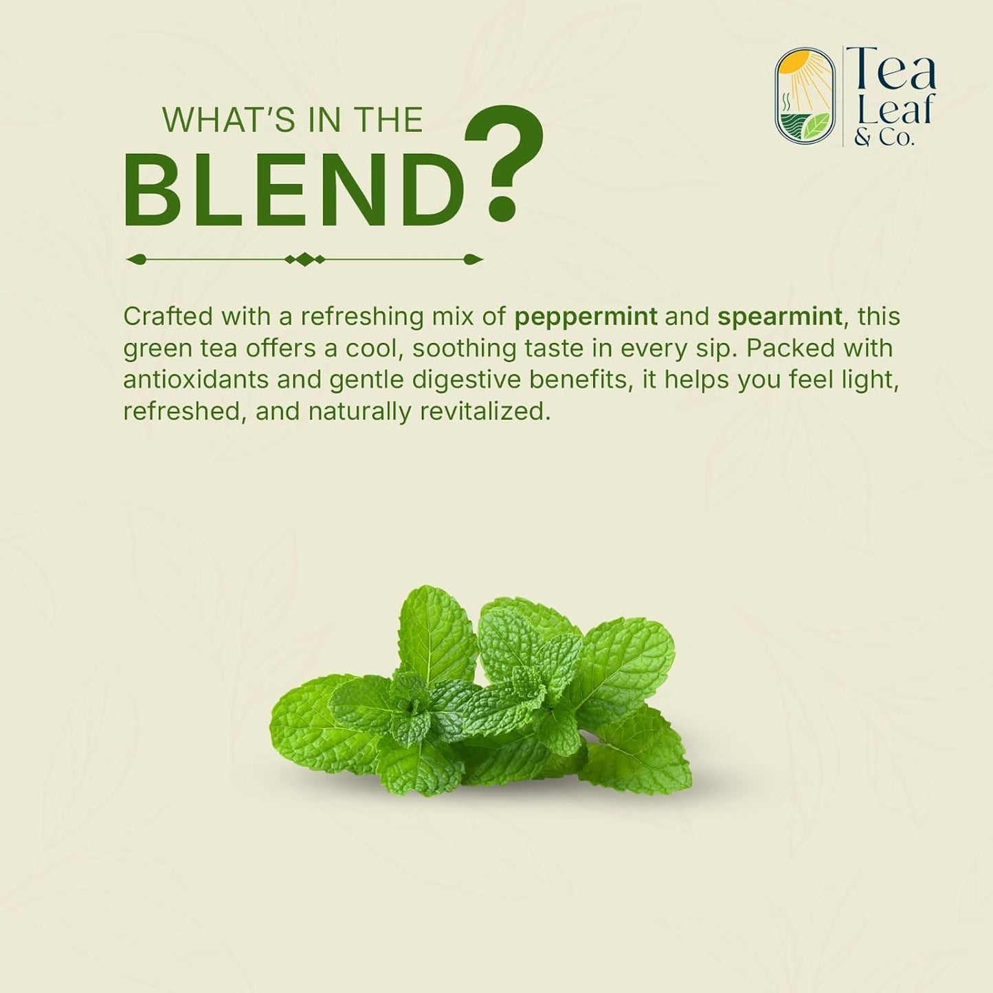 Mint Green Tea (200 gm / 7 oz), Natural Herbal Infusion, 100 Tea Bags