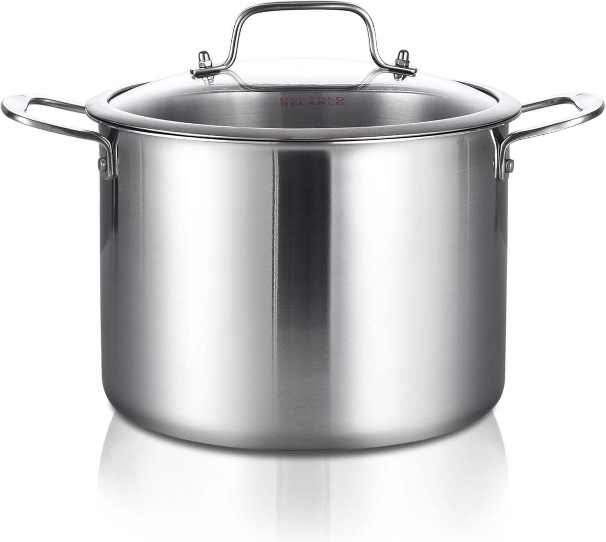 DELARLO Tri-ply Stainless Steel 12 Quart Heavy Duty Induction Stock Pot