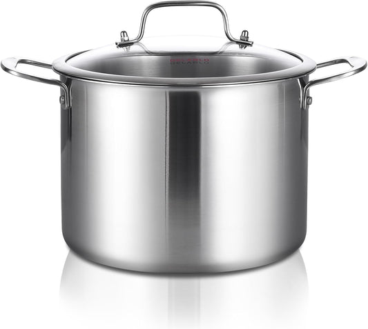DELARLO Tri-ply Stainless Steel 12 Quart Heavy Duty Induction Stock Pot