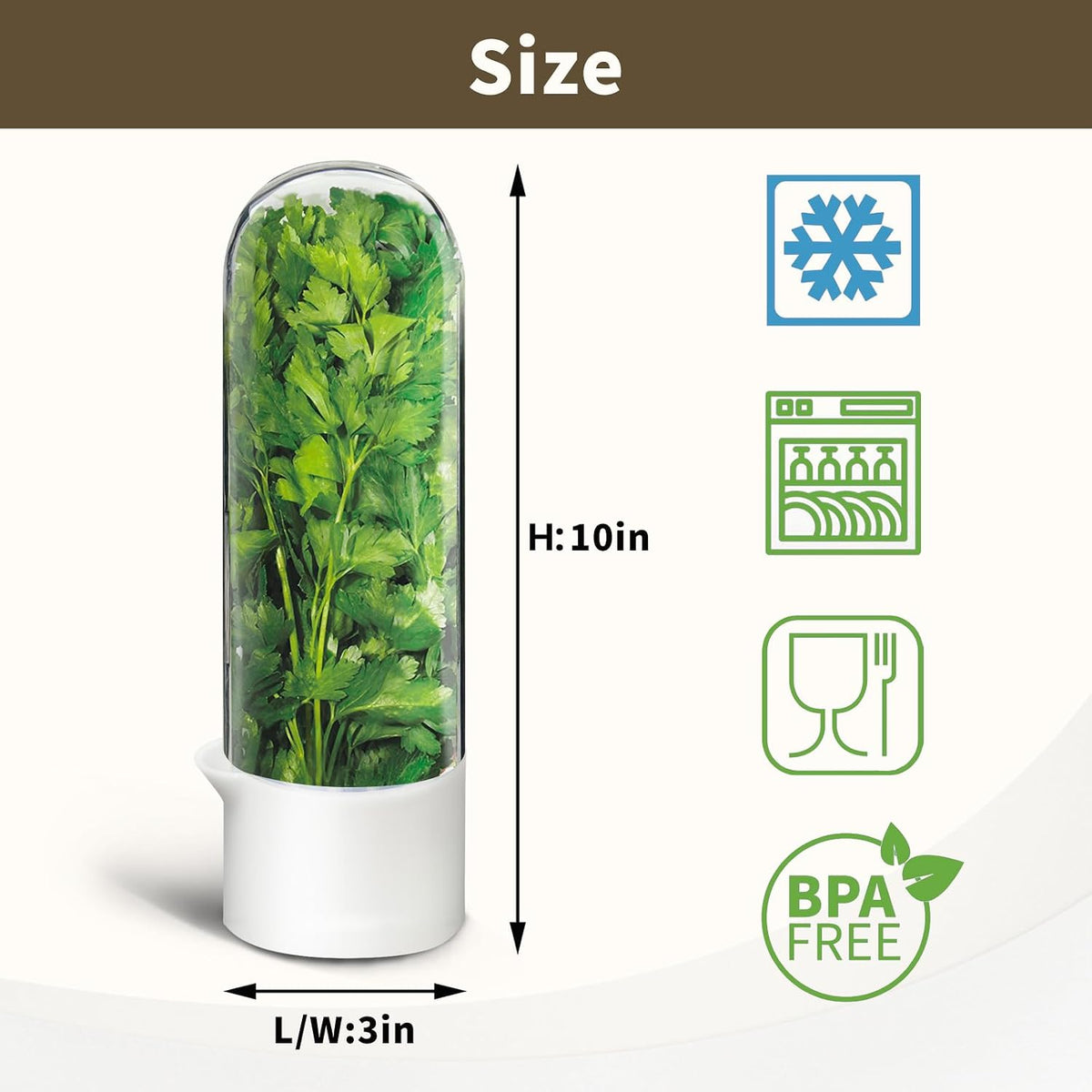 Herb Keeper for Refrigerator, Herb Saver for Refrigerator, Cilantro Container, Vegetable Preservation Bottle for Cilantro, Mint, Parsley, Asparagus, Keeps Greens Fresh for 2-3 Weeks (3PCS)