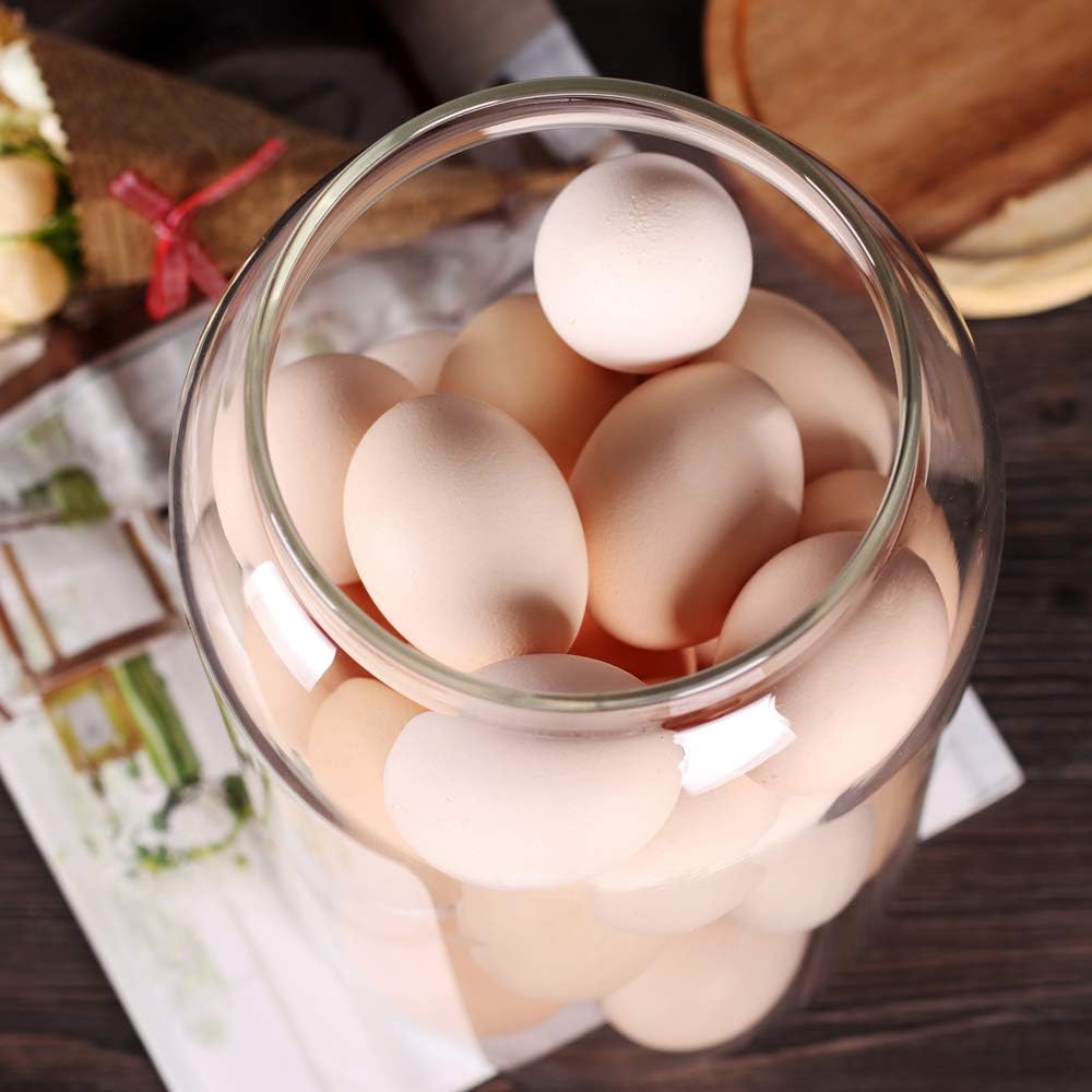 SAIOOL Modern Design Transparent Glass Food Storage jars, Food storage containers glass,100FL OZ(3000ml) Enlarged Thickened with Sealed Wooden Lid to Store Food, herbs, Tea, Easy to Use and Clean