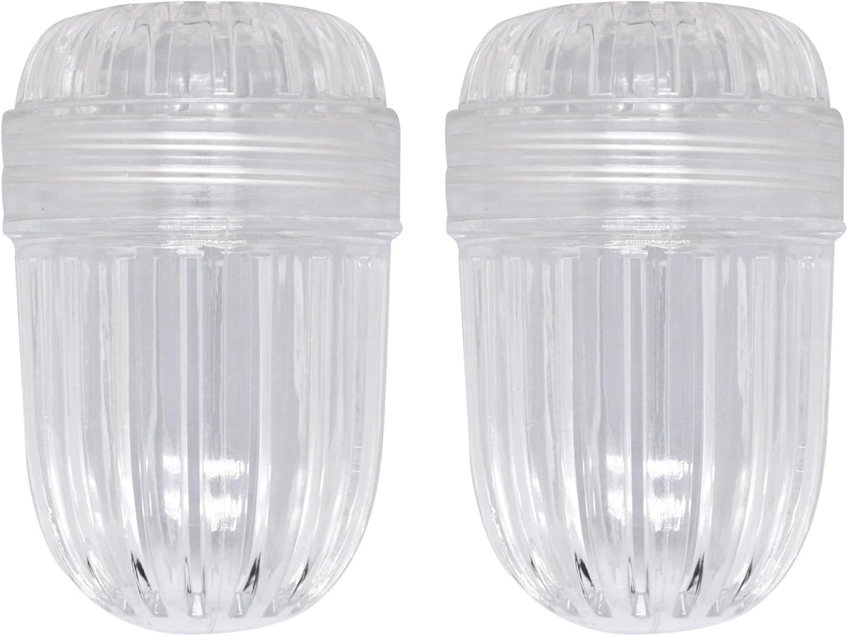 2Pcs Fruit Infuser Insert for Wide Mouth Water Bottles, Flower Tea Infuser Bottle Ball, Leak-Proof Herb &amp; Tea Strainer for Loose Leaf Tea, Floral Tea, Coffee, Fruit