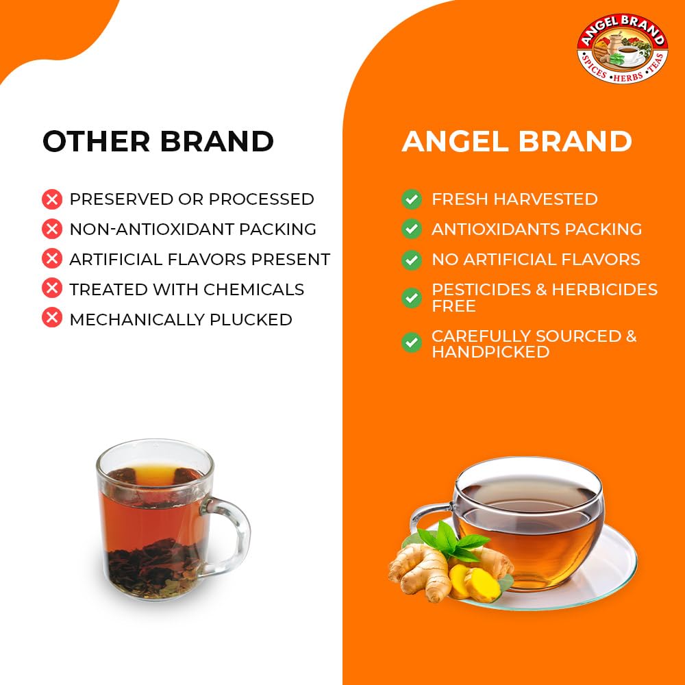 Ginger Root Tea Bags | 25 Count | 3 Pack | Digestion &amp; Immune Support | Crafted with premium ginger root, offering a bold