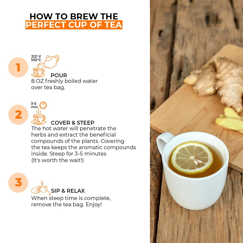 Ginger Root Tea Bags | 25 Count | 3 Pack | Digestion &amp; Immune Support | Crafted with premium ginger root, offering a bold