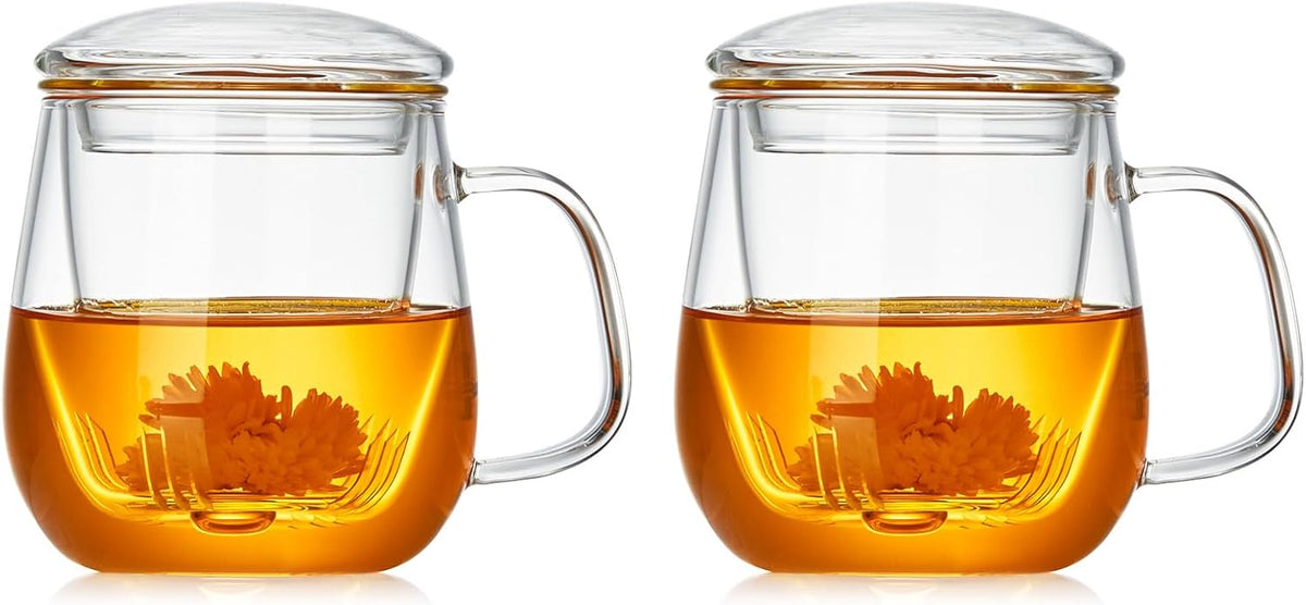 Glass Teacups 2 Pack Glass Tea Cup with Infuser and Lid, 17.6oz/520ml Large Borosilicate Teacup,Tea 