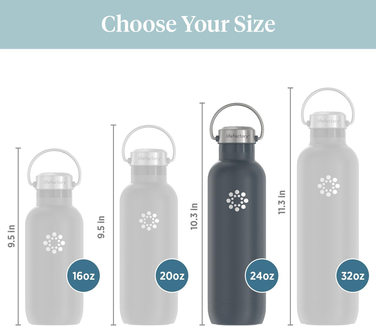 Lifefactory 24oz Stainless Steel Sports Bottle with Chug Cap, Carbon