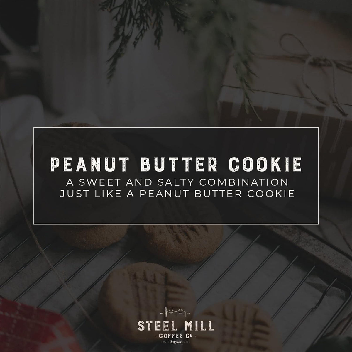 Steel Mill Coffee Co. Peanut Butter Cookie Medium Roast Ground, 2 LB