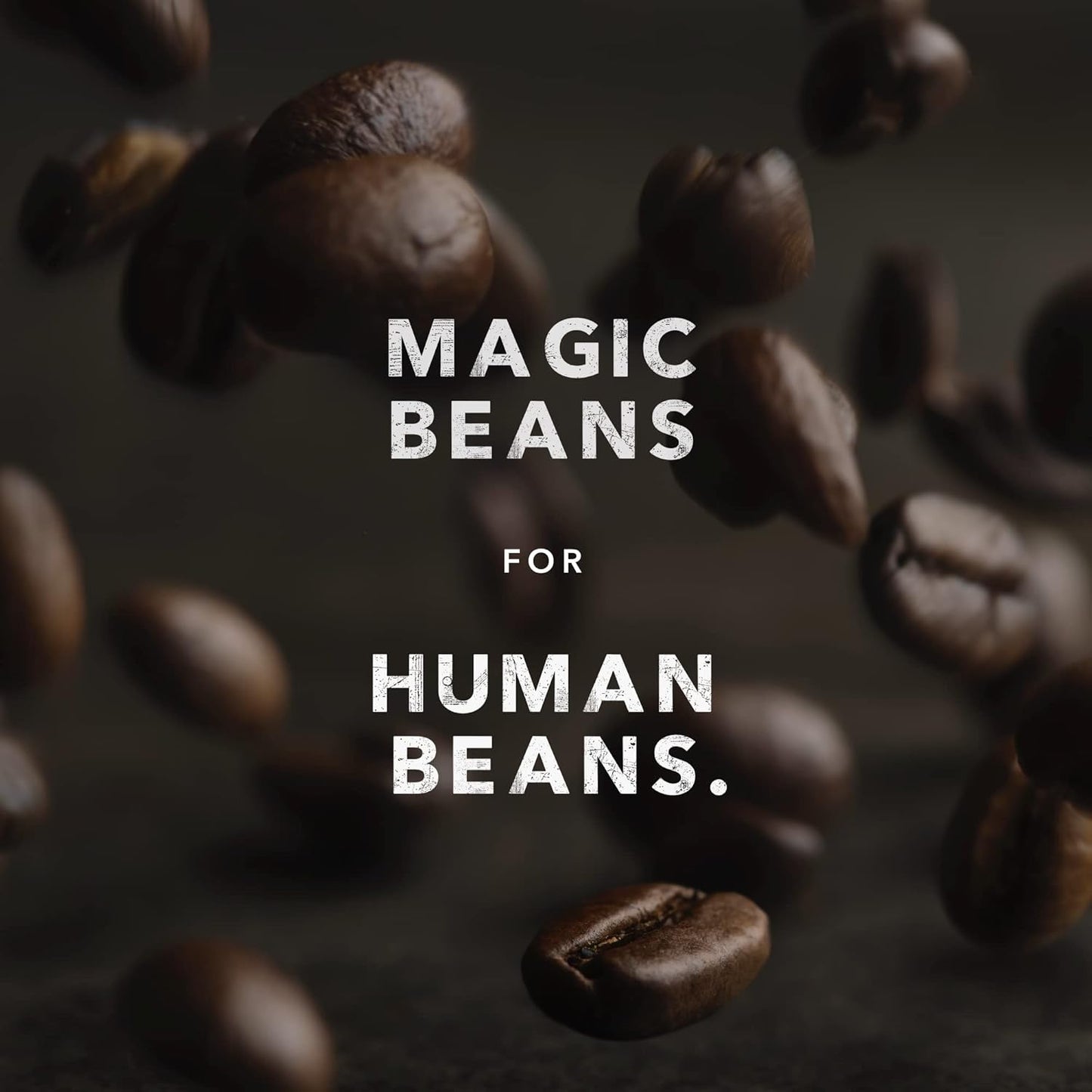 Kicking Horse Coffee Hola, Light Roast, Ground, 284 g (Pack of 6) - Certified Organic, Fairtrade, Kosher