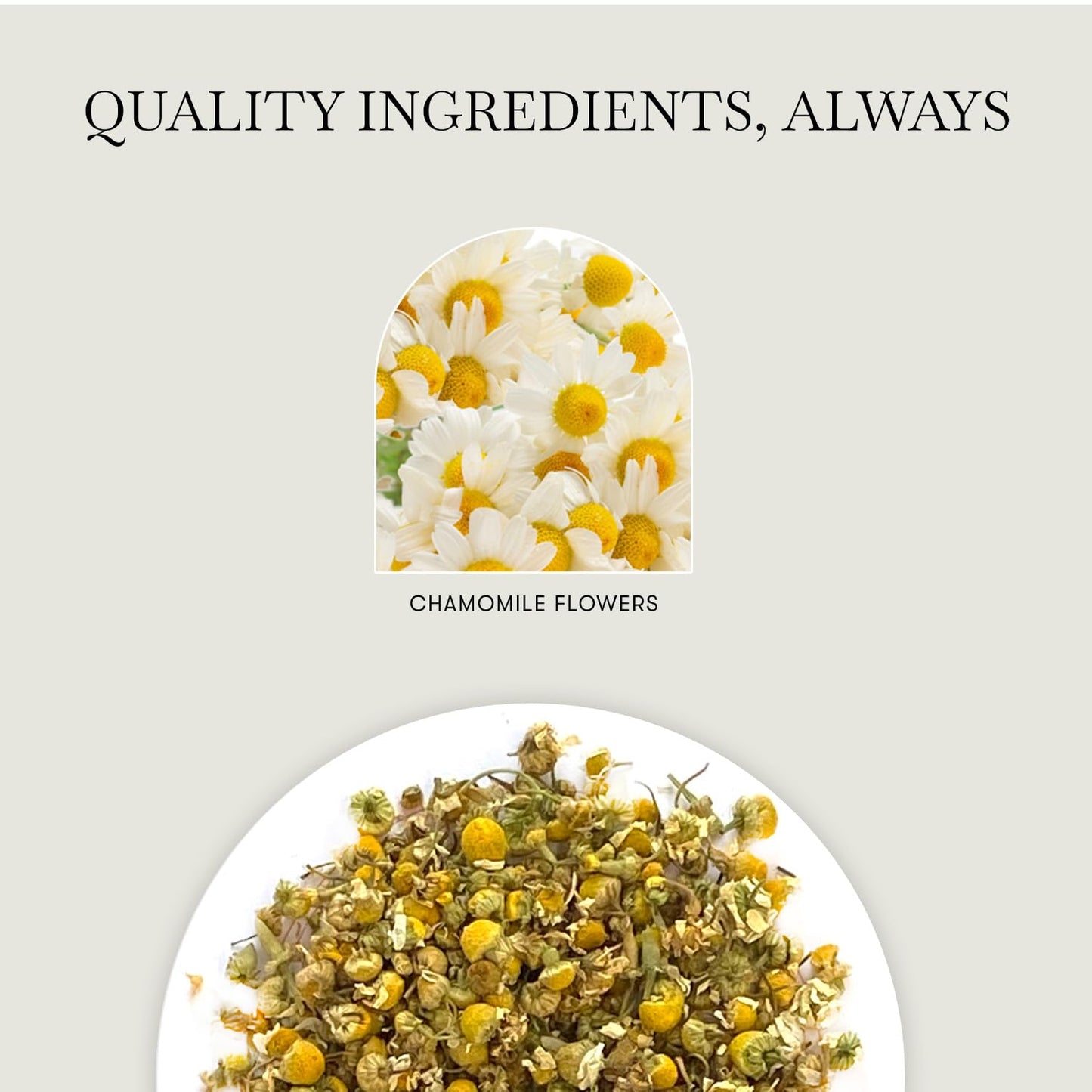 Luxmi Estates Pure Chamomile Tea, Loose Leaf, 100g (3.52oz, ~50 Cups) | USDA Organic Whole Chamomile Flowers | Single-Ingredient Caffeine-Free Herbal Infusion | Vegan, Non-GMO Bulk Pack