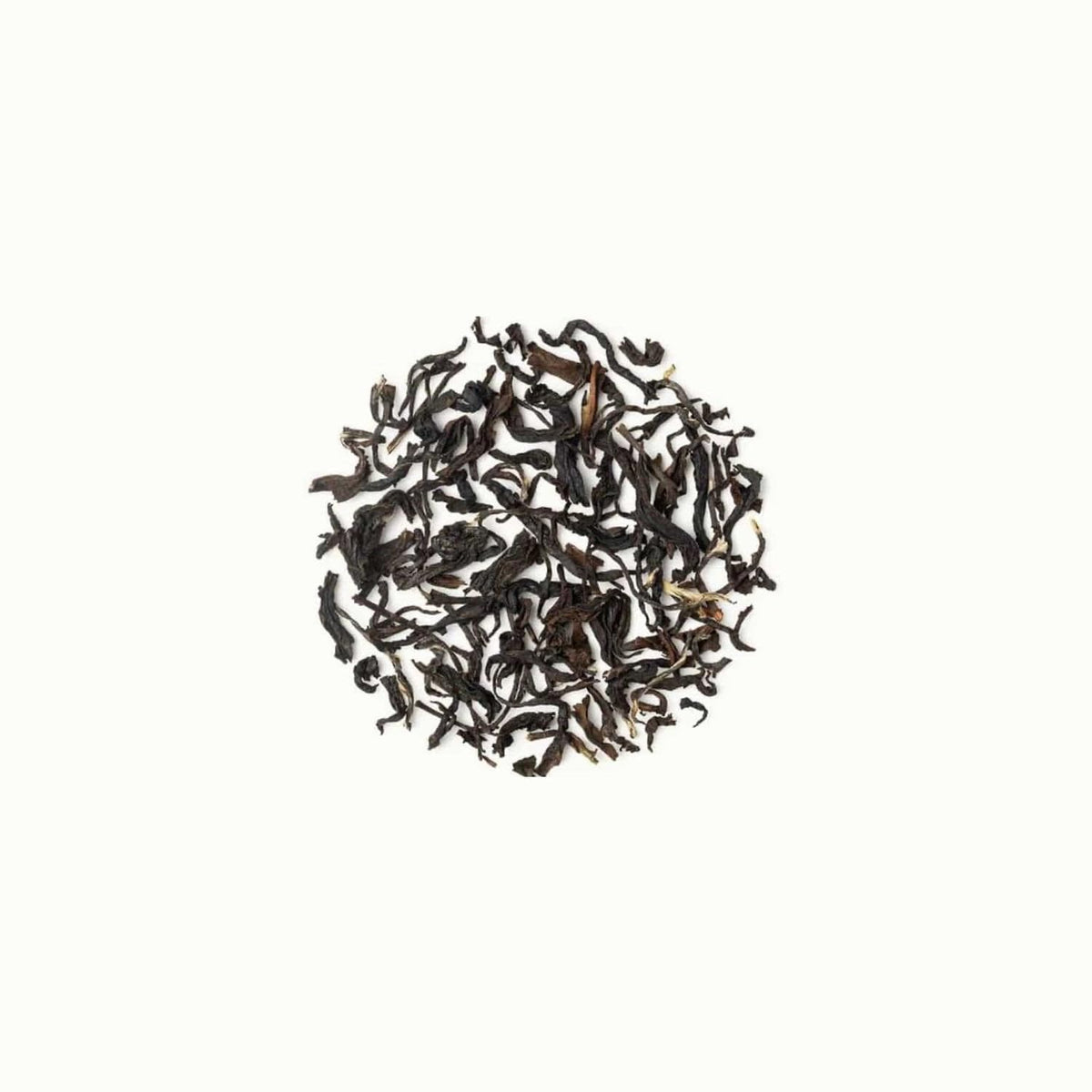 Luxmi Estates Queen of the Hills Organic Darjeeling Black Tea Blend 25 Tea Bags (1.76oz) Pack | 25 Cups | Direct from Garden