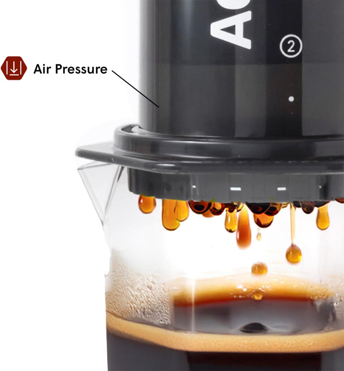 AeroPress Original XL Coffee Press