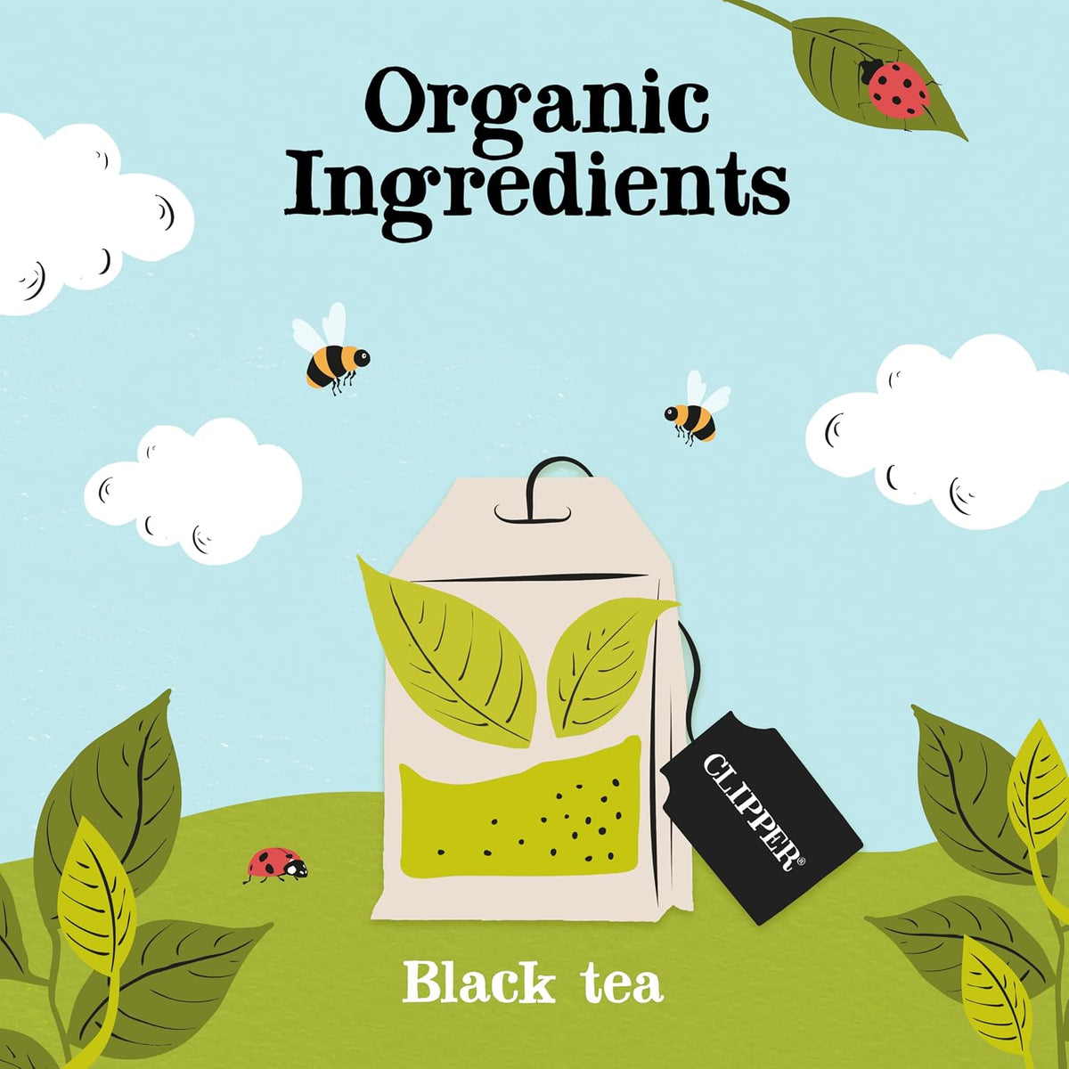 Clipper Organic Everyday Black Tea