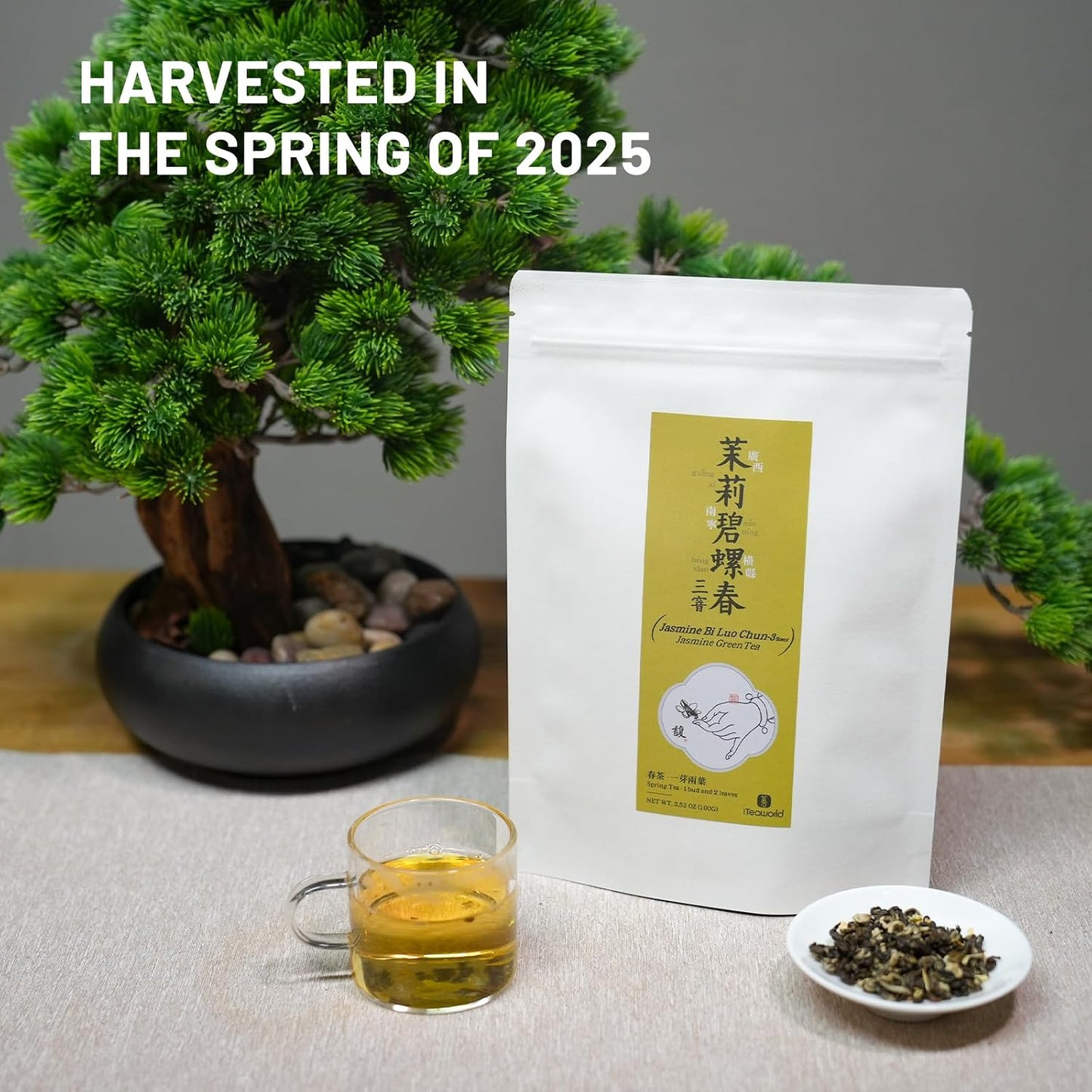 iTeaworld Jasmine Loose Leaf Green Tea,Scented Jasmine Biluochun 3.5oz | Up to 250 Cups|Authentic Triple-Scented Jasmine Green Tea|No Additive|Includes Tea Bags Easy Mug Brewing