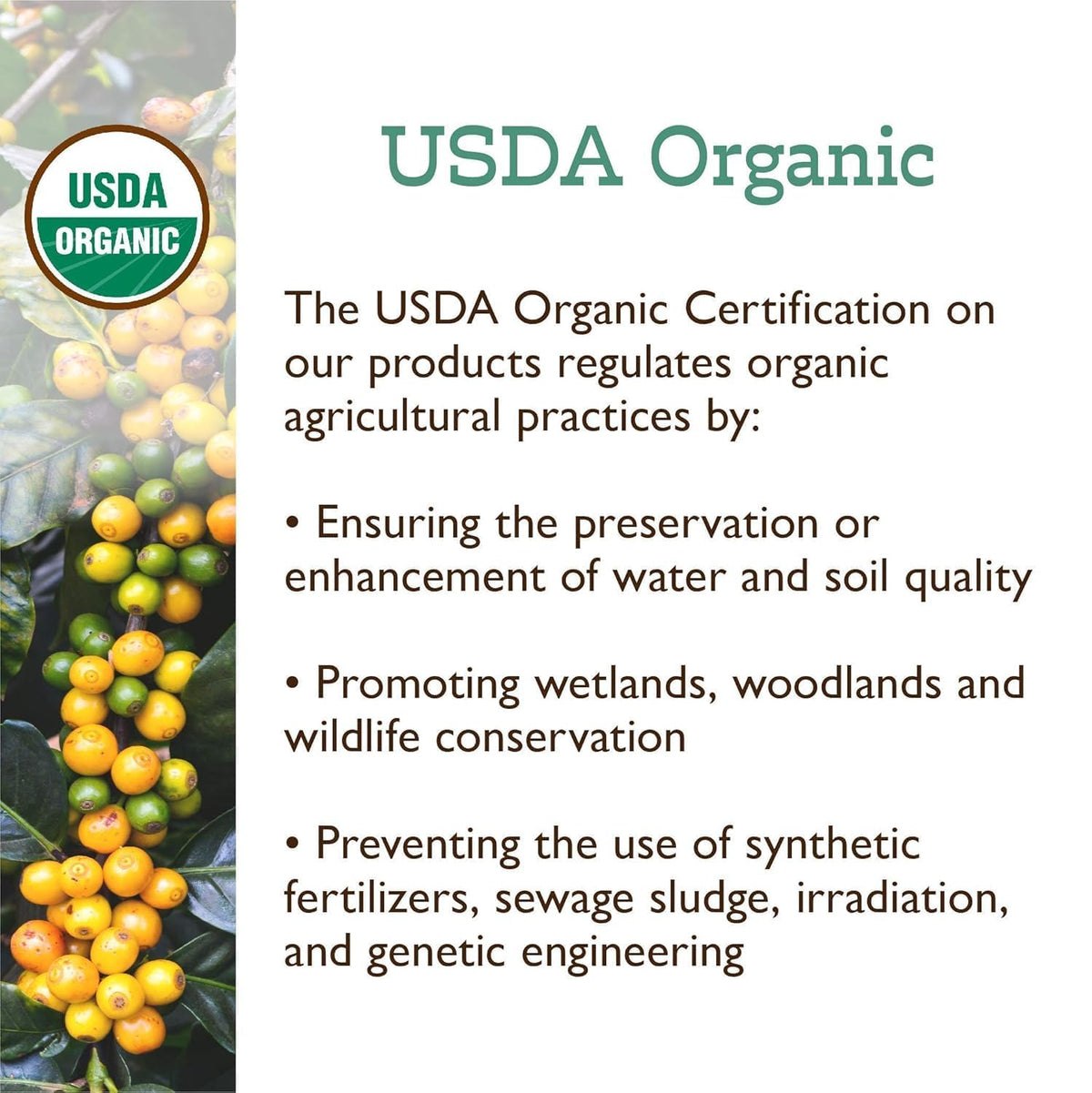 Fresh Roasted Coffee, Organic Ethiopian Yirgacheffe K-Cup Pods for Keurig Brewers, Medium Roast, USDA Organic, 3rd Party Tested for Mold, Mycotoxin &amp; Pesticides, Kosher, 24 Count (Pack of 1)