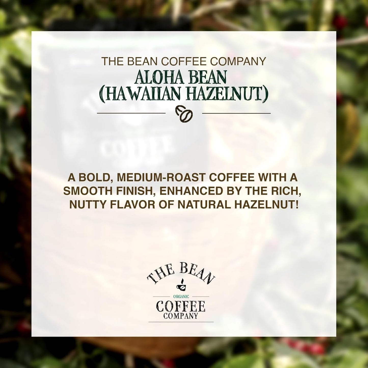 The Bean Organic Coffee Company Aloha Bean (Hawaiian Hazelnut), Medium Roast, Ground Coffee, 16-Ounce Bags (Pack of 2),Café molido tostado organico