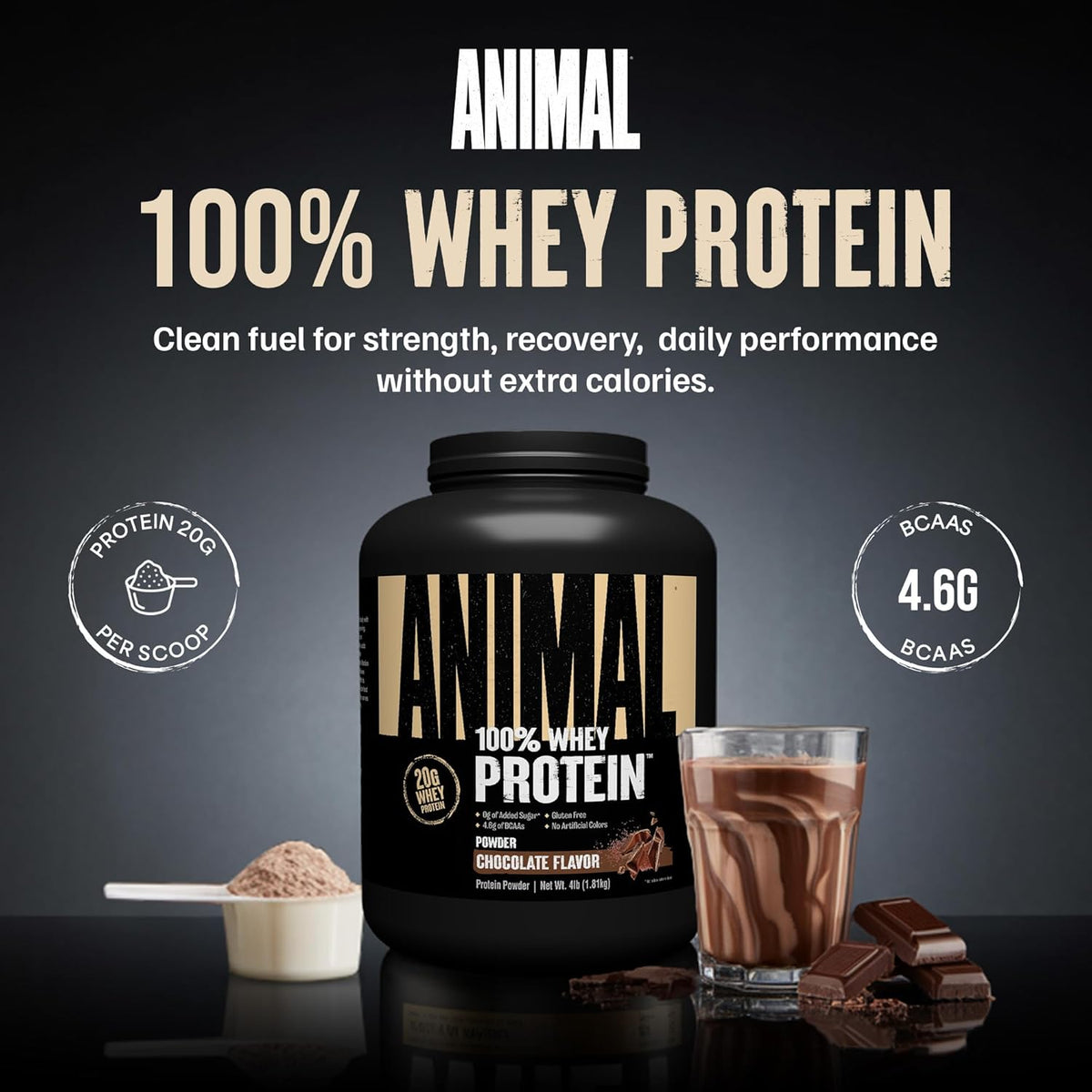 Animal 100% Whey Protein Powder, 20G High Protein | Chocolate 4LB | Pre &amp; Post Workout Meal Replacement with BCAAs | Build Strength, Muscle &amp; Recover Faster | Low Carb, Low Sugar, Great Taste