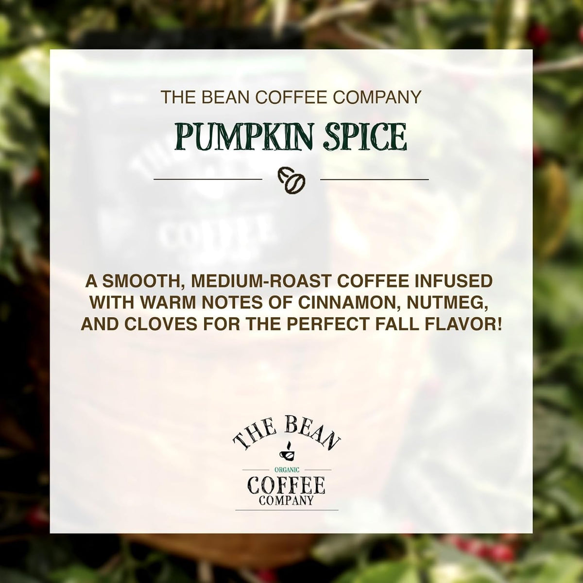 The Bean Organic Coffee Co. Pumpkin Spice, Medium Roast, Ground, 2 x 1 lb | Warm cinnamon, nutmeg, and clove spice. Organic ground coffee. Medium Roast. 2 x 1 lb.