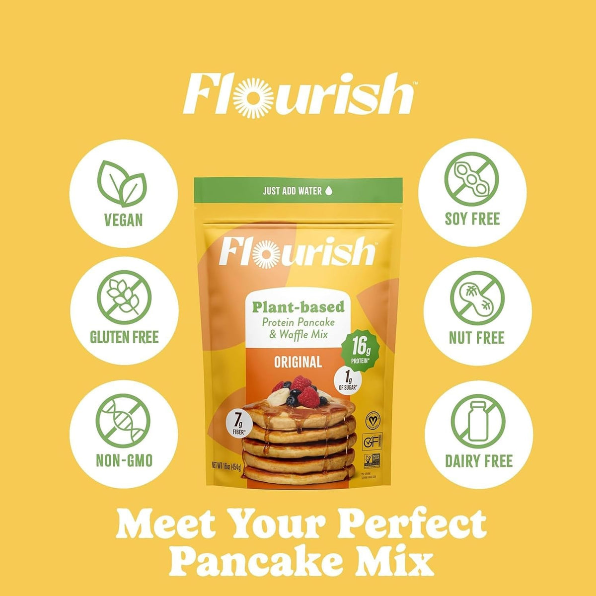 Flourish Plant-Based Protein Pancake &amp; Waffle Mix, Gluten-Free, Dairy-Free, Nut-Free, Soy-Free, Vegan, Non-GMO, All-Natural Superfood, High Protein &amp; Fiber, Just Add Water - Original, 430 g (2 Pack)