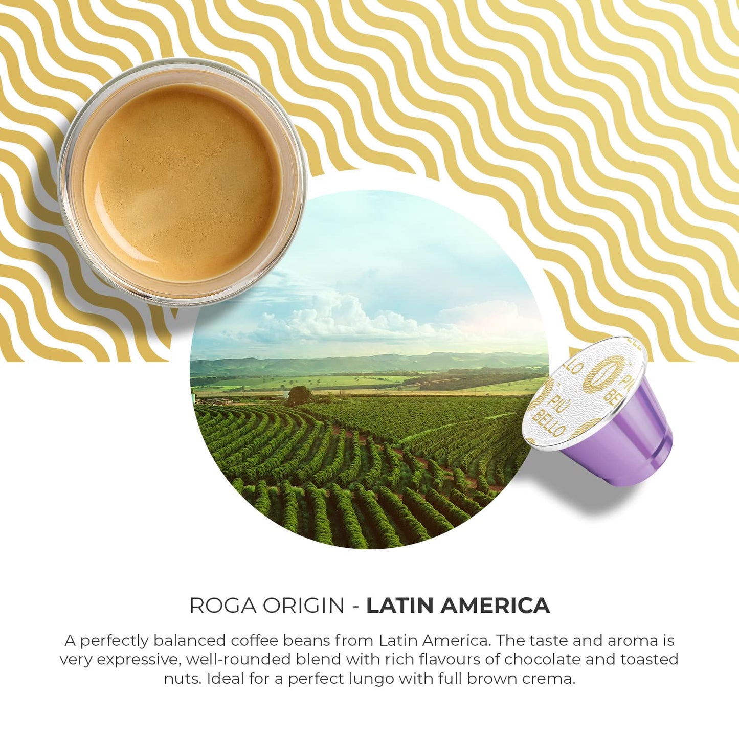 Piu Bello Roga Espresso Coffee Pods for Nespresso Original Machines – Compatible Capsules Pack – Rich &amp; Balanced Taste – Strong Italian Espresso Flavor – Kosher Certified (60 Count, Single Flavor)