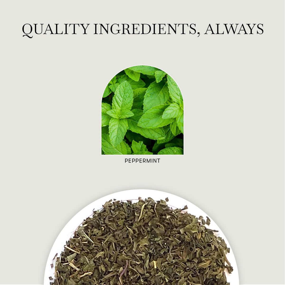 Luxmi Estates Vanilla Peppermint Herbal Tea, 50 Biodegradable Tea Bags (100g, 3.5oz, 50 Cups) | Caffeine-Free Two-Ingredient Blend with Real Peppermint Leaf &amp; Natural Vanilla | Soothing After-Dinner Bulk Pack, Vegan