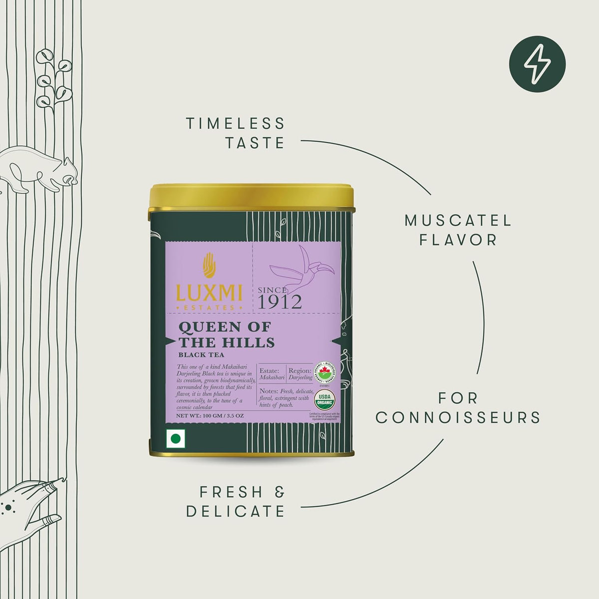 Luxmi Estates Queen of the Hills Organic Darjeeling Black Tea Loose Leaf 50 Cups (100g/3.5oz) | Direct from Garden