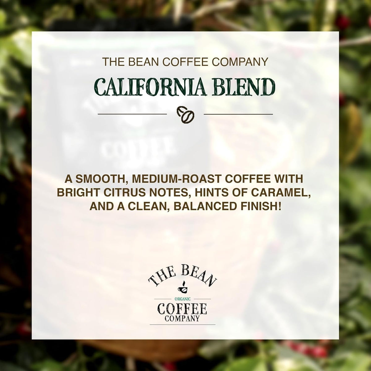 The Bean Organic Coffee Co. California Blend, Medium, Ground, 2 x 1 lb | Mellow, low-acid California blend. Organic ground coffee. Medium Roast. 2 x 1 lb.