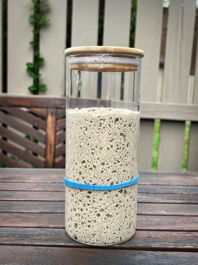 Rye Flour Organic Sourdough Starter Sourdough Style Starter Culture | Homemade Artisan Bread | Heirloom, non-GMO | Live Culture Bread Mix *Kosher Pareve (1.7oz / 50g) By Miriam's Kitchen