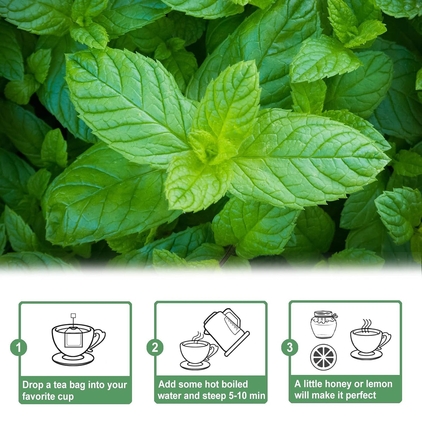 TEARELAE - Spearmint Tea Bags, 50 Count, Spearmint Leaves Herbal Tea | Cooling mint aroma, Non-GMO and caffeine-free, supports digestion and naturally freshens breath