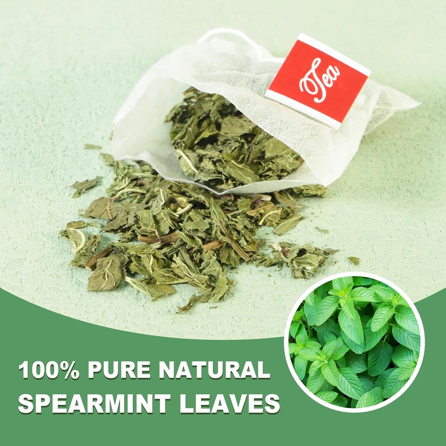 TEARELAE - Spearmint Tea Bags, 50 Count, Spearmint Leaves Herbal Tea | Cooling mint aroma, Non-GMO and caffeine-free, supports digestion and naturally freshens breath