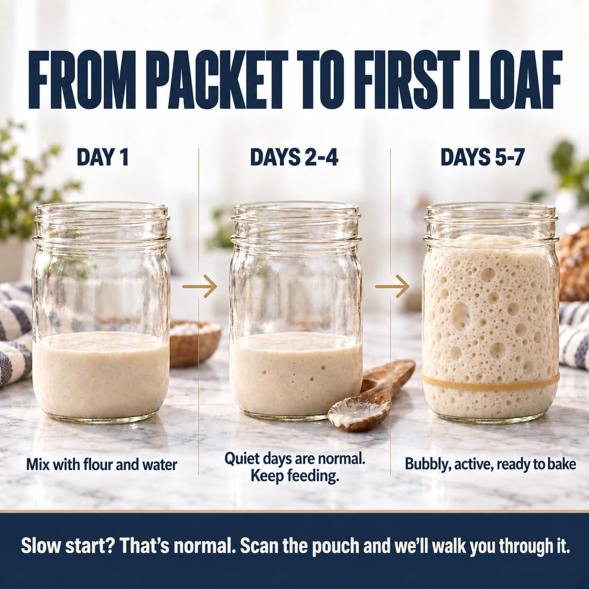Cultures for Health San Francisco Sourdough Style Starter Culture