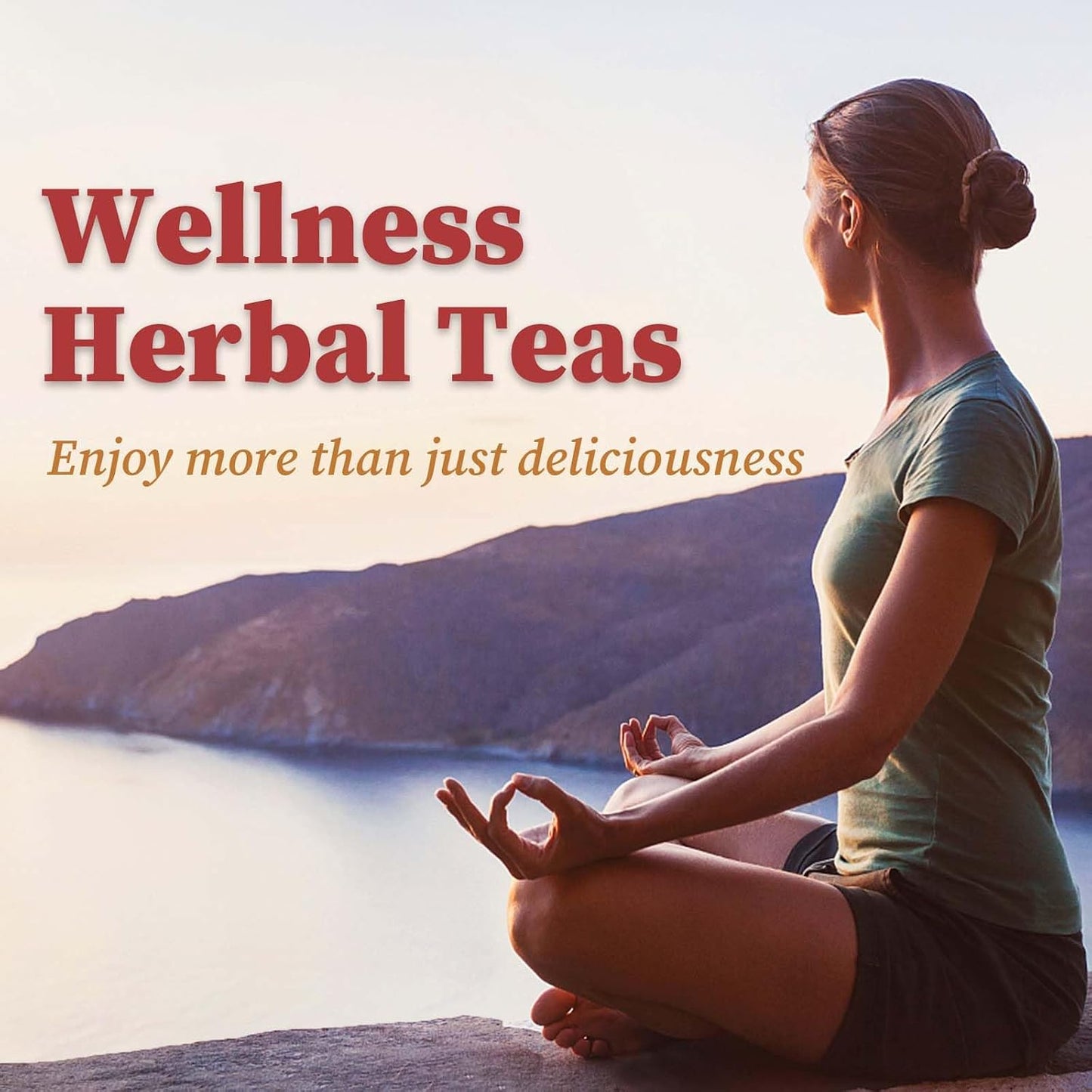 FullChea - Rose Hips Tea Bags, 50 Count, Dried Rose Hips | 100% pure rose hips herbal tea, rich in antioxidants, Non-GMO caffeine-free, easy to brew hot or iced