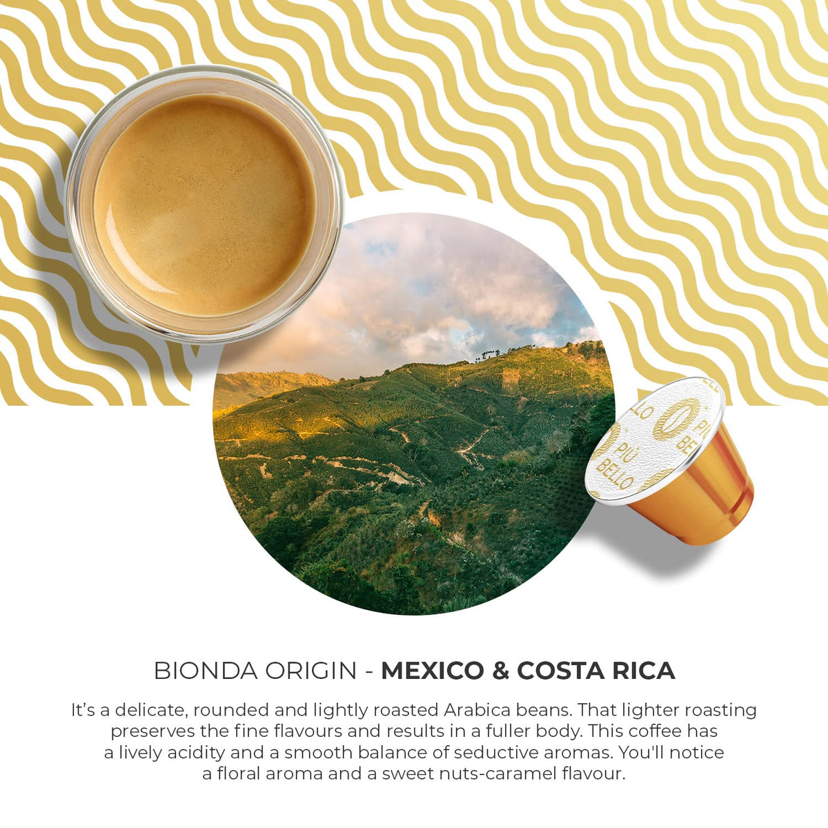 Piu Bello Bionda Espresso Coffee Pods for Nespresso Original Machines – Compatible Capsules Pack – Rich &amp; Balanced Taste – Strong Italian Espresso Flavor – Kosher Certified (60 Count, Single Flavor)