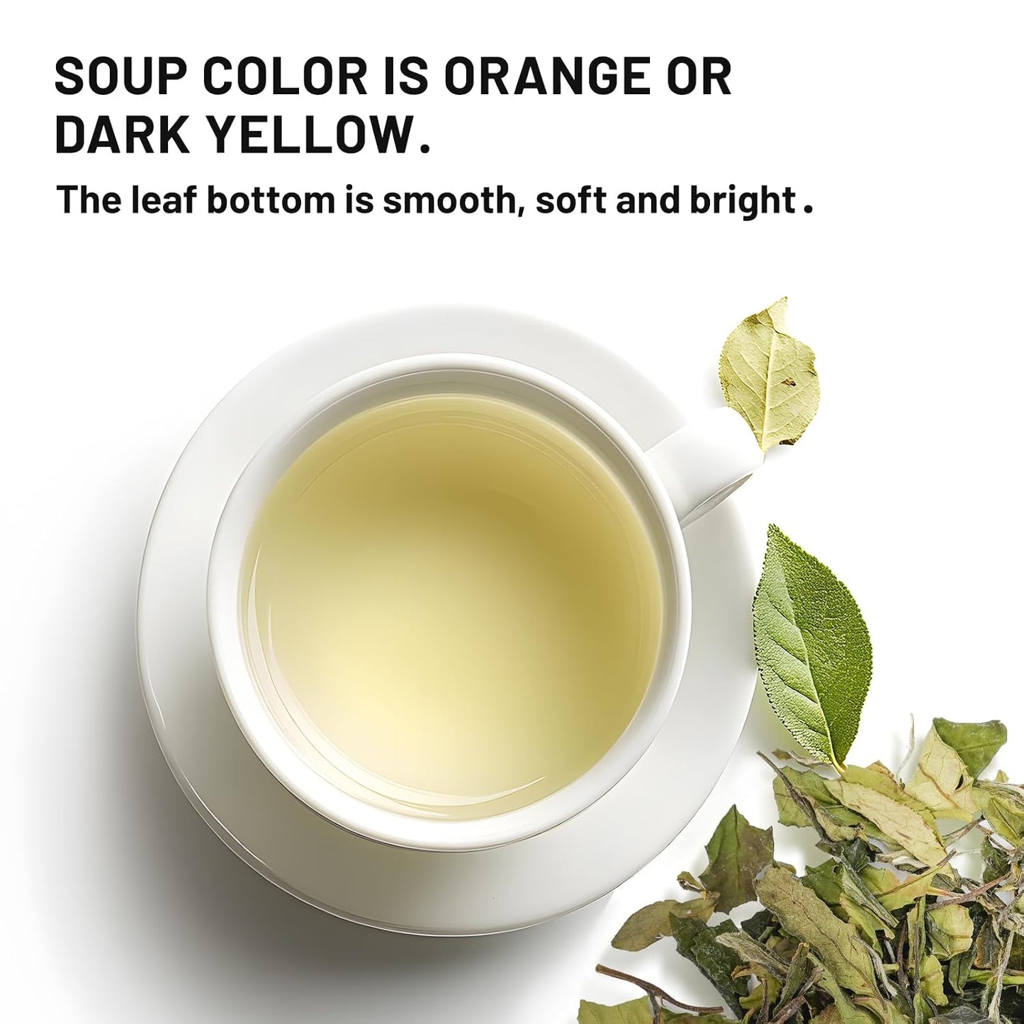 iTeaworld Gongmei Loose Leaf White Tea,Low Caffeine Multiple Steeping 1.7oz | Up to 100 Cups | Smooth Mellow Taste | Low Bitterness|Easy Mug Brewing|Perfect for Daily Drinking &amp; Relaxation