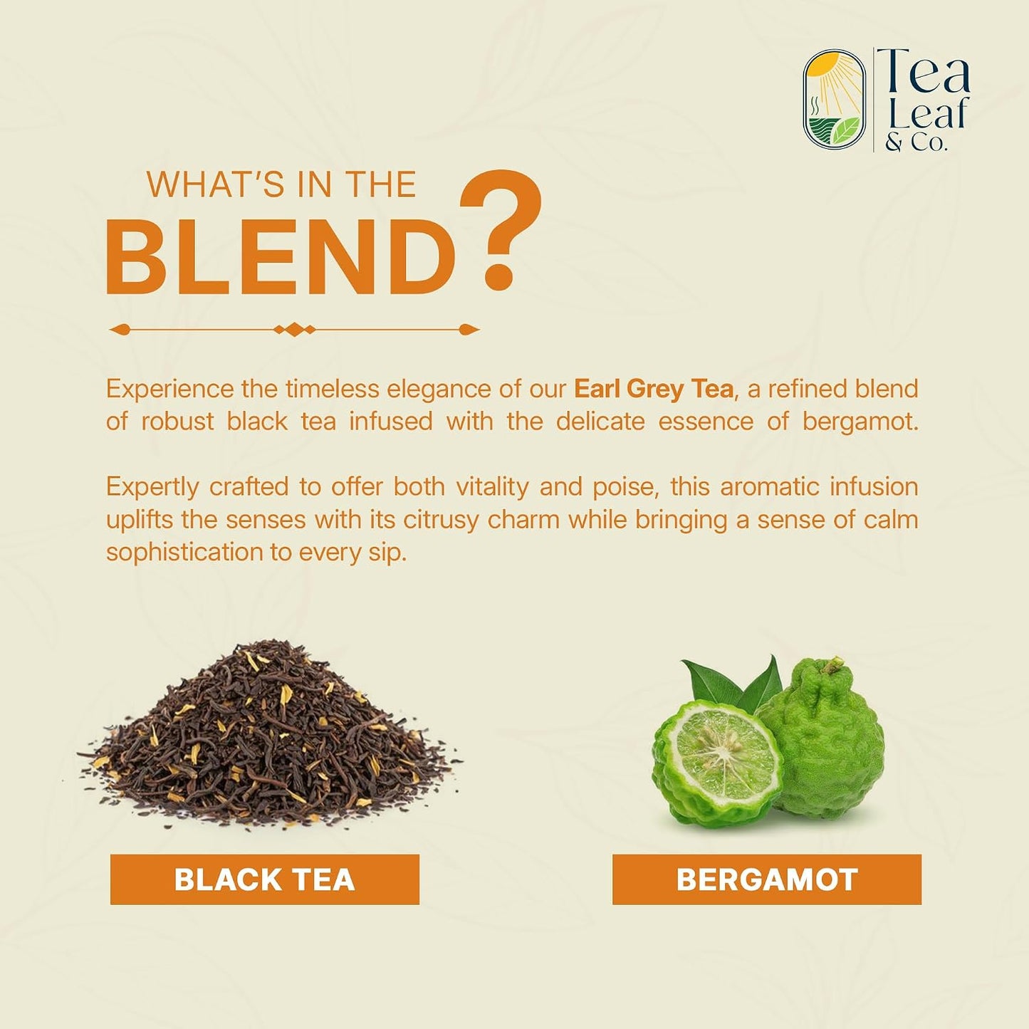 Earl Grey Black Tea Loose Leaf (100gm/3.5oz), Makes Upto 50 Servings