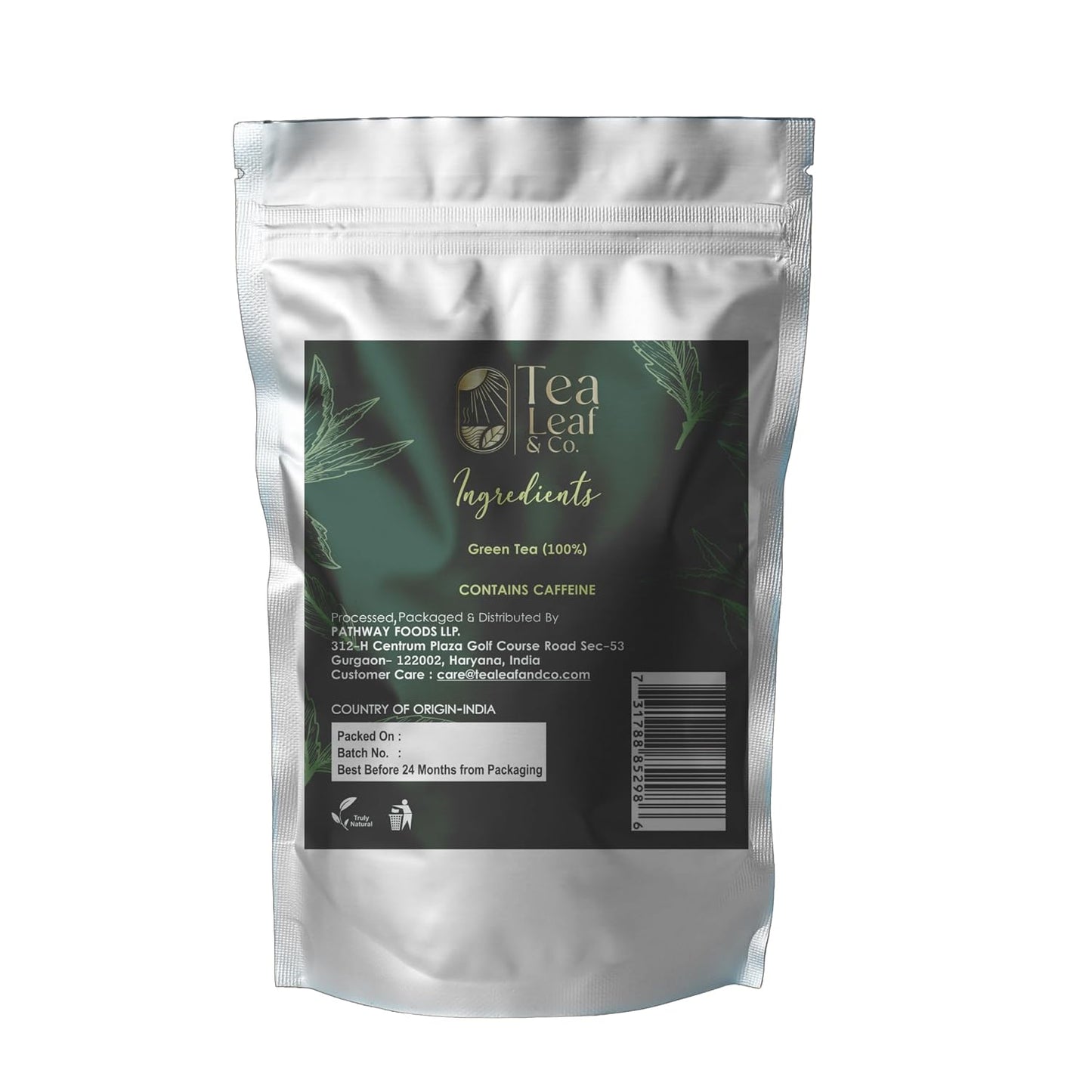 Classic Green Tea (3.5oz / 100gm), Low Caffeine, 50 Pyramid Tea Bags