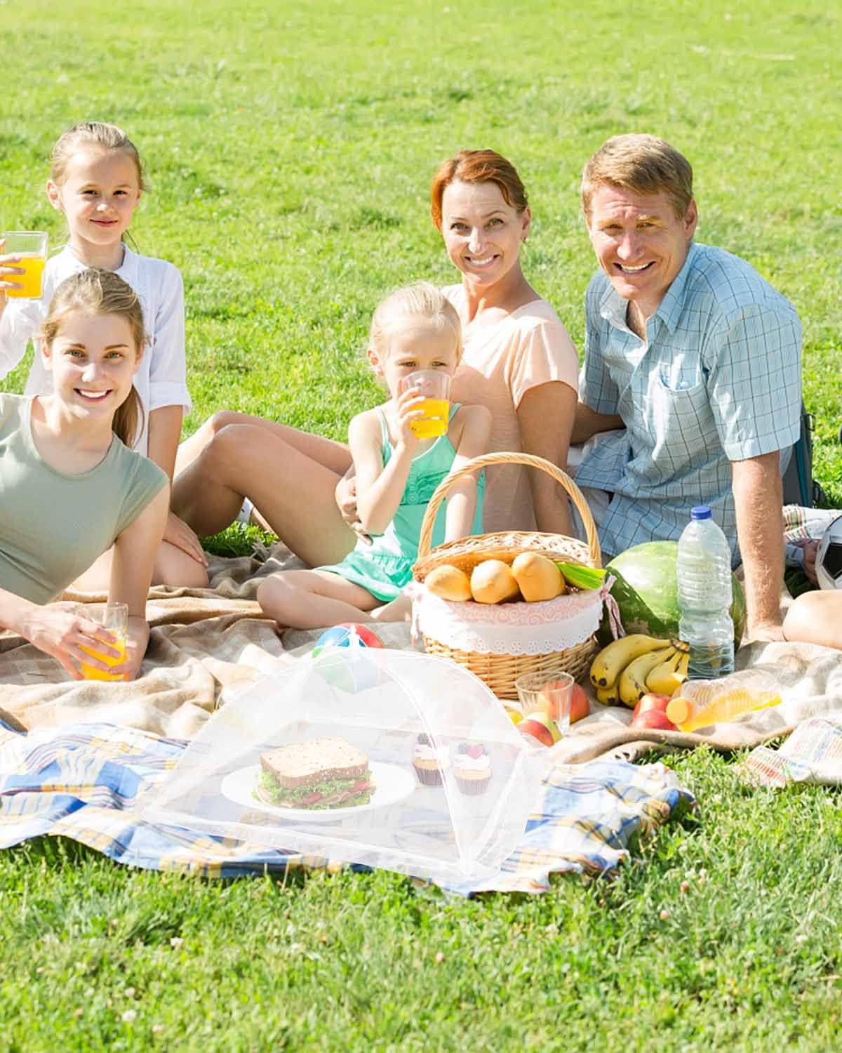 Large Food Cover,6 Pack Mesh Food Tent,17"x17",White Nylon Covers,Pop-Up Umbrella Screen Tents,Patio Net for Outdoor Cam