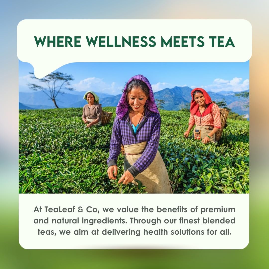 Chamomile Green Tea Loose Leaf (100gm / 3.5oz), Makes Upto 50 Servings