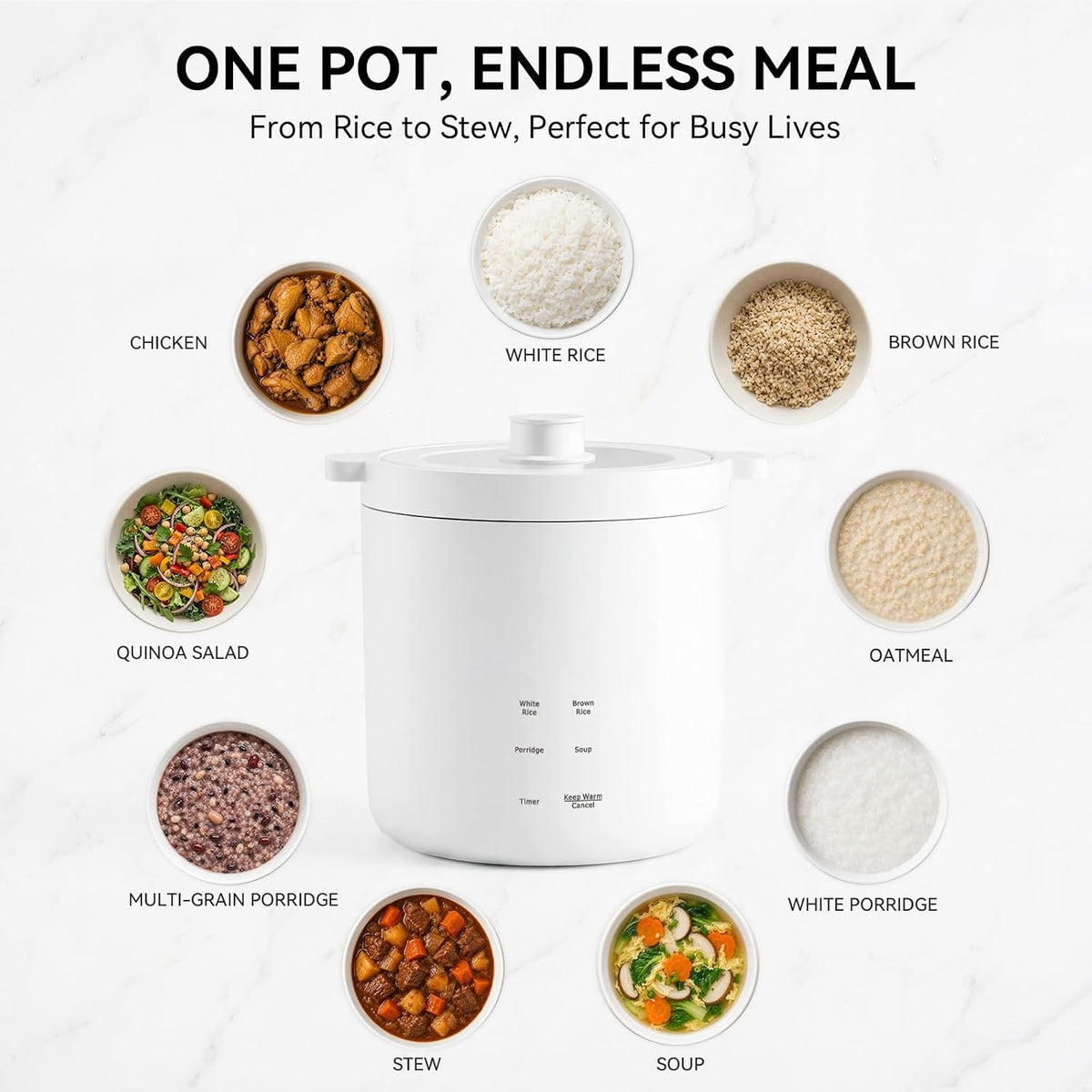 Mini Rice Cooker 2 Cup Uncooked, Small Electric Cooker, with 4 Cooking Functions, 24 Hour Preset and Heat Preservation, Anti Scald Carry Handle